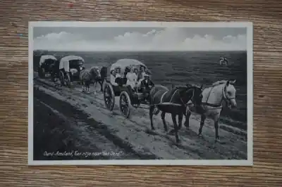 Ameland Een ritje naar het Oerd Ekspresowa dostawa