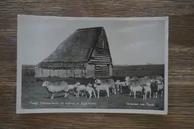 Niska cena Texel Schapenboet en wolvee te Zuid-Haffel