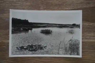 Ostatnia szansa Nes Katteplas