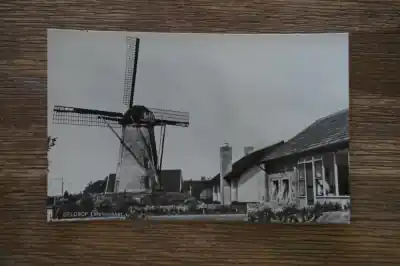 Zamów teraz Geldrop Molenakker