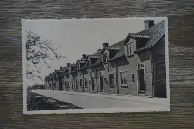 Rozenburg Wilhelminastraat Popularny