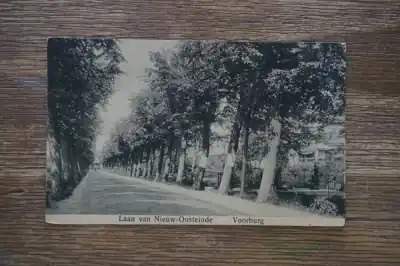 Tani Voorburg Laan van Nieuw Oosteinde