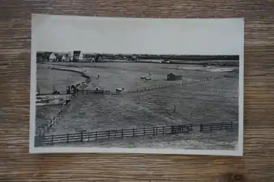 Niska cena Texel Uitzicht van uit pension Op Duin