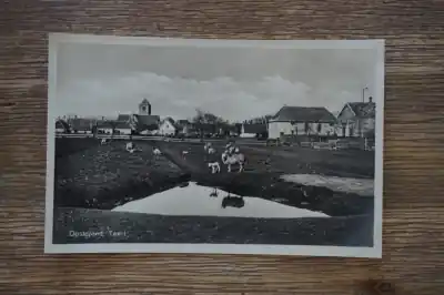 Texel Oosterend Najlepsza cena