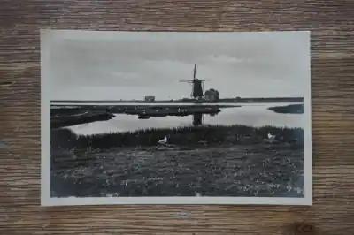 Wysoka jakość Texel Vogelbroedplaats de Bol in het Noorden