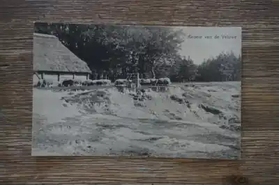 Rabat Veluwe Groeten van