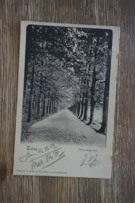 Zeist Philosophenlaan Niska cena