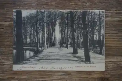 Tani Den Haag Gezicht in het bosch