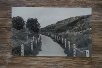 Kup teraz Scheveningen Weg door de duinen
