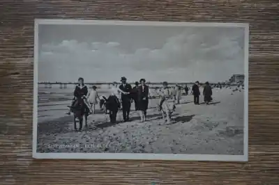 Scheveningen Ezel rijden Tylko dziś