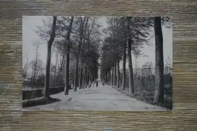 Brielle Straatweg Zamów teraz