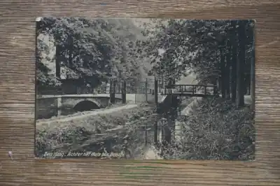 Den Haag Achter het huis ten Bosch Kup teraz