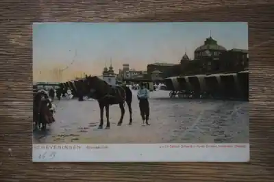 Szybka dostawa Scheveningen Strand gezicht