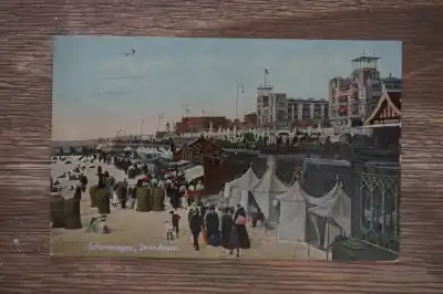 Tani Scheveningen Strandleven