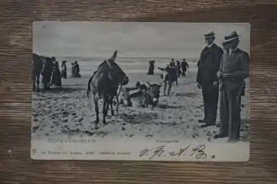 Scheveningen Strandgezicht Oferta limitowana