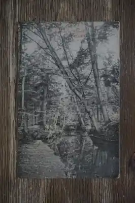 Delden Gezicht in het bosch Zamów teraz