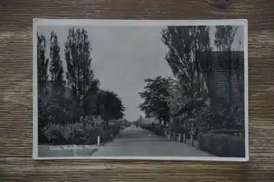 Niska cena Oudewetering Plantage