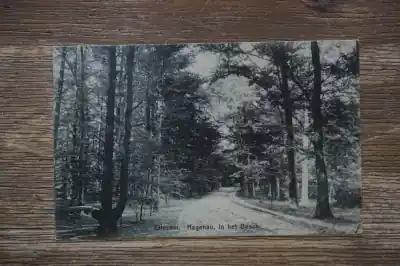 Wyprzedaż Ellecom Hagenau in het bosch