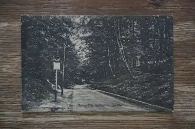 Promocja Grebbe Gevaarlijke helling