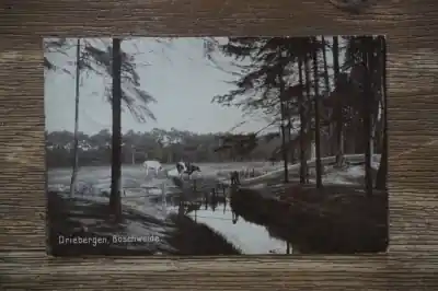 Driebergen Boschweide Zwrot pieniędzy