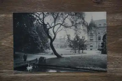 Szybka dostawa Utrecht Park Nieuweroord