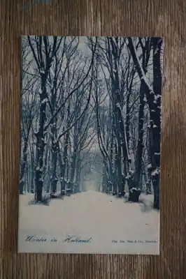 Winter in Holland Tylko dziś