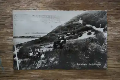 Wyprzedaż Zoutelande in de duinen