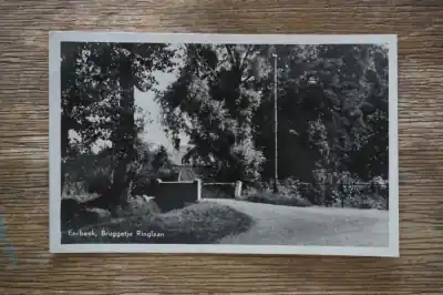 Nowość Eerbeek Bruggetje Ringlaan