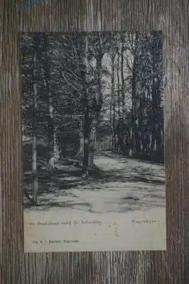 Ostatnia szansa Wageningen De Beukelaan nabij de Belvedere