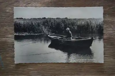 Najlepsza cena Nieuwkoop Plasgezicht