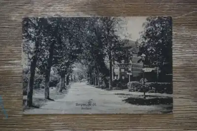 Szybka dostawa Bergen Breelaan