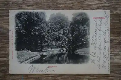 Najlepsza cena Bloemendaal Hartenlust