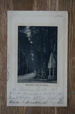 Dieren Middachter Allee Szybka dostawa